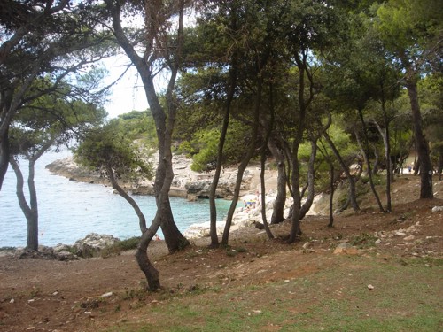 Pula 2007 012.jpg