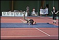 WUC 2008 160.jpg