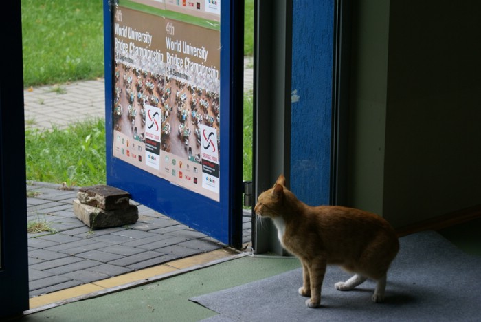 WUC 2008 425.jpg