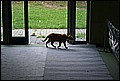 WUC 2008 423.jpg