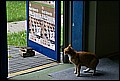 WUC 2008 425.jpg